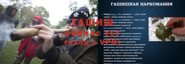 гашик Гусев