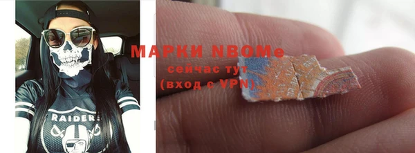 гашик Гусев