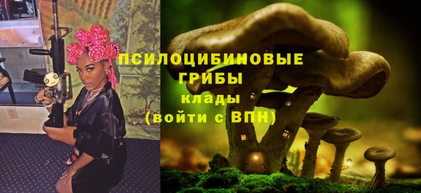 ешки Горно-Алтайск