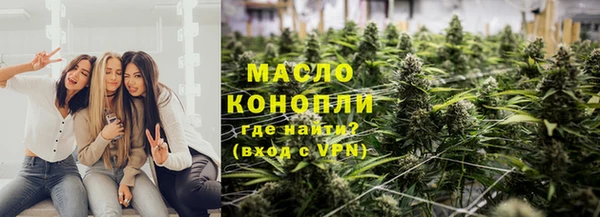 гашик Гусев